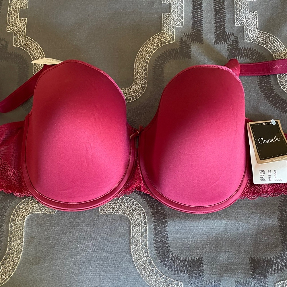 Chantelle Le Marais bra size 34 DDDD